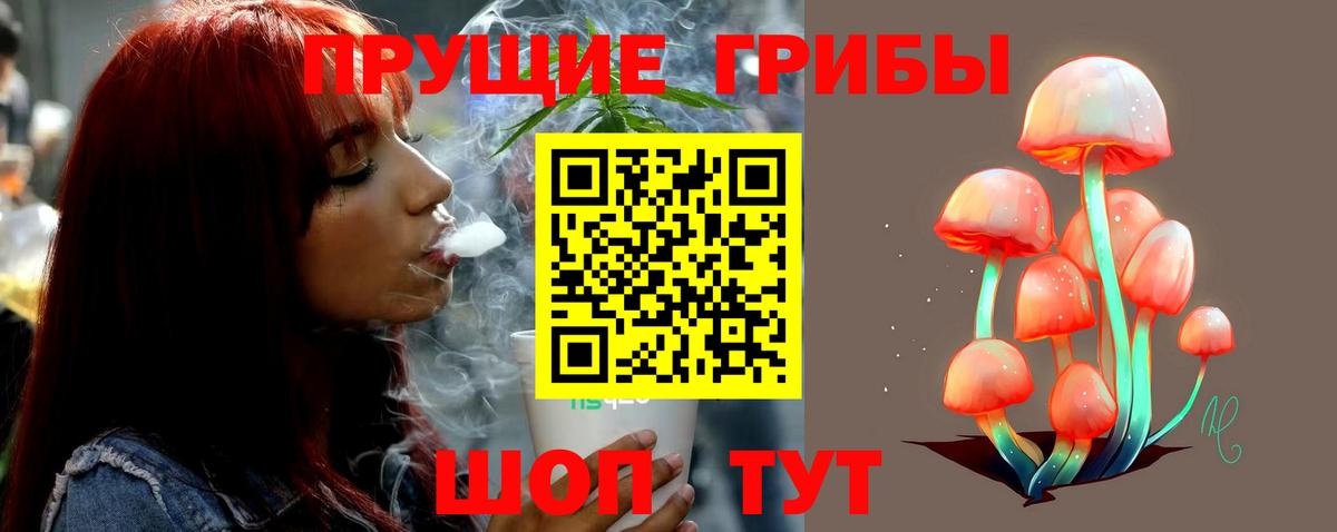 Псилоцибиновые грибы MAGIC MUSHROOMS  Вход с VPN  Людиново 