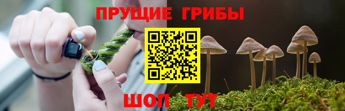 Галлюциногенные грибы Psilocybine cubensis Людиново